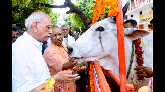 Sanatan Dharma Singular True Religion, says Yogi